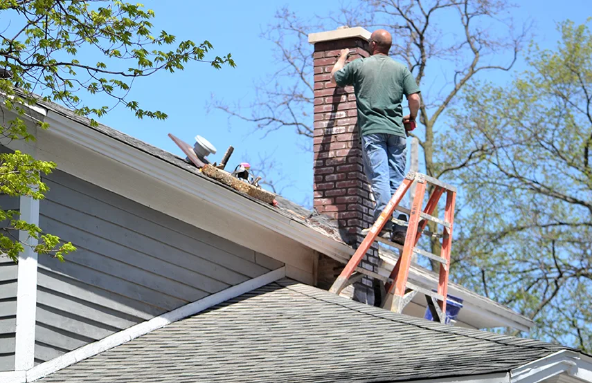 Chimney & Fireplace Inspections Services in Sylvania, OH